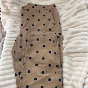 NWT J Crew Factory pants